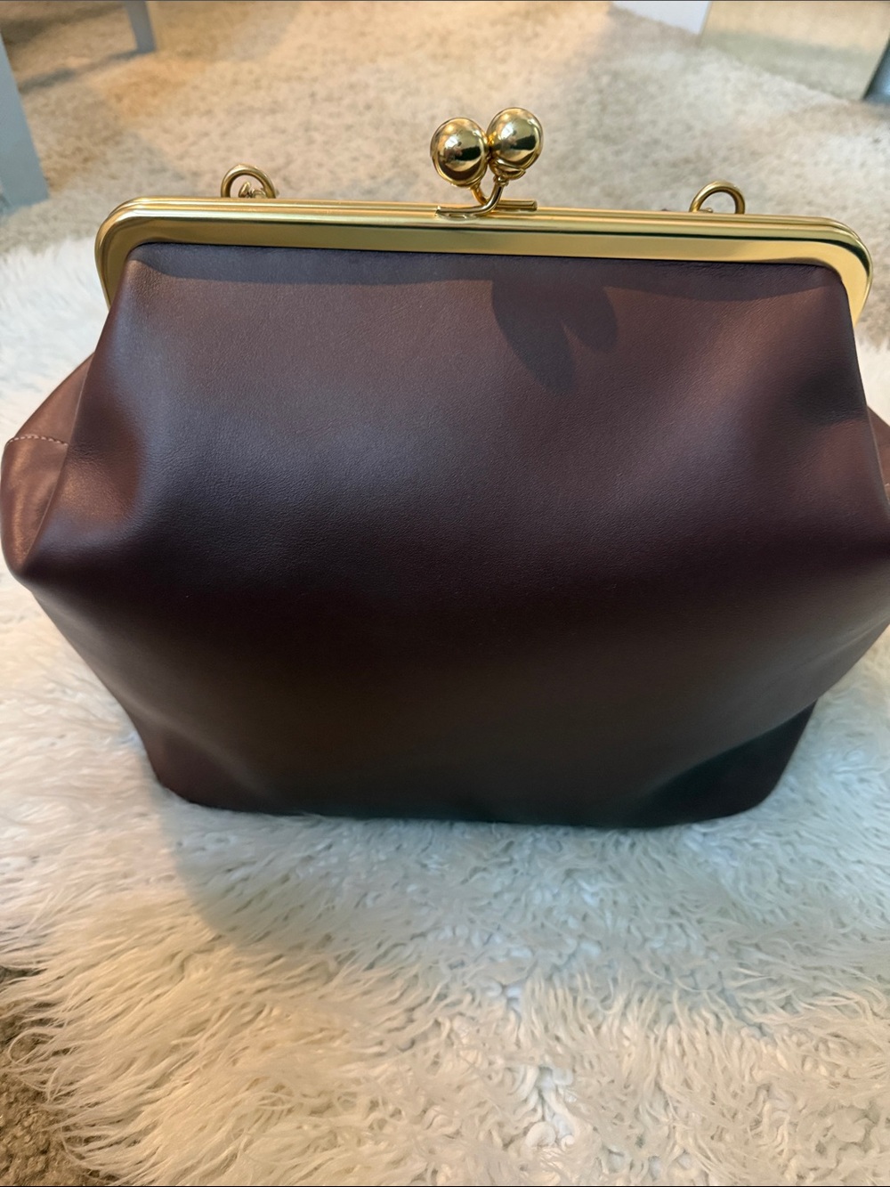 Coach Large Kiss-Lock Frame Bag
